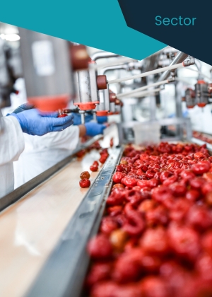 Equipos de medición ambiental y salud en trabajo de empresas de alimentos y manufactura